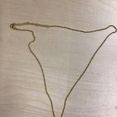 Náhrdelník, jak nahlášeno Gemeente Nijmegen pomocí iLost