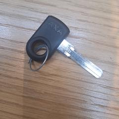 Sleutel, som rapportert av Rijksmuseum van Oudheden ved bruk av iLost