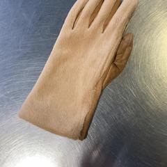 Gants Beige, a été signalé par Burgers' Zoo utilisant iLost
