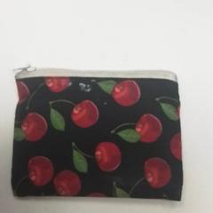 財布 Saudemont がiLostで ilévia によって報告されました