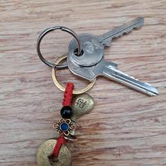 Chaves, como reportado por Gemeente Zeist utilizando o iLost