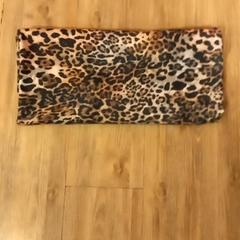 Châle, a été signalé par Arriva Limburg Noord utilisant iLost