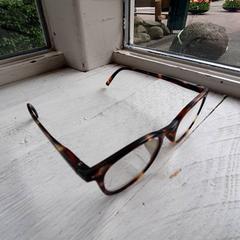 Lentes Bruin gemêleerd, segundo informou DierenPark Amersfoort usando iLost