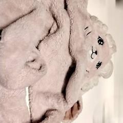 Beanie Sjaal, jak nahlášeno Gemeente Puurs-Sint-Amands pomocí iLost