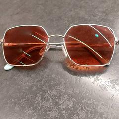 색안경, iLost를 사용하여 Rotterdam The Hague Airport에 보고됨