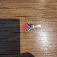 Kľúč Rode kop, ako bolo nahlásené Regio Limburg - Leuven pomocou iLost