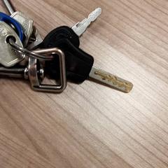 Portachiavi Metaal, come riportato da Arriva West-Brabant utilizzando iLost