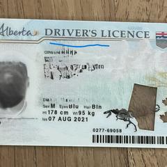 Mini wallet met Canadian Driver's Licence, iLost에 보고됨
