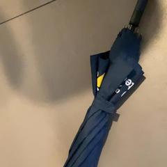 Paraplu, zoals gemeld door MEININGER Hotel Heidelberg Hauptbahnhof met iLost