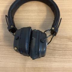 Hörlurar, rapporterat av RRReis Veluwe Zuid - Apeldoorn med iLost