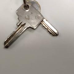 Giltzak, gisa salatu by Centraal magazijn iLost erabiliz