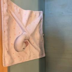 Plush slap, as reported by Familie Resort Molenwaard using iLost