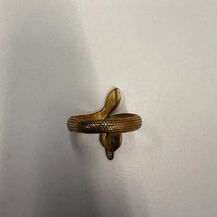 Anel Goudkleurig, como reportado por Universiteitsbibliotheek Universiteitskwartier utilizando o iLost