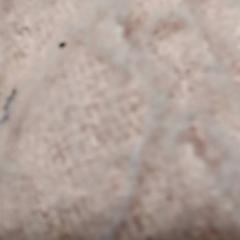 Shawl Roze, as reported by Arriva Friesland / Groningen using iLost