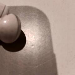 Auricular, segons ha informat De Efteling mitjançant iLost