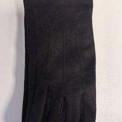 Handschuhe, gemeldet von AFAS Live über iLost