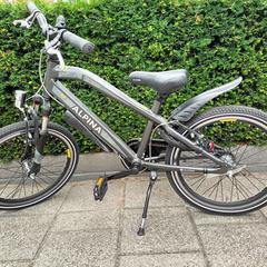 Alpina kinderfiets, som rapporterats till iLost