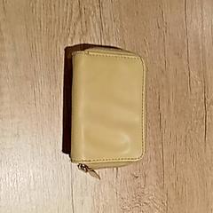 İLost kullanarak Regio Antwerpen - Brussel tarafından bildirildiği gibi Cüzdan Celeste