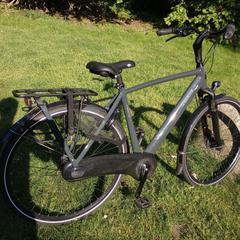 Gazelle fiets, iLost에 보고됨