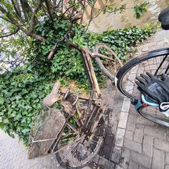 City bike found in channel, segundo informou a iLost