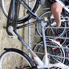 Herrenfahrrad Trek, gemeldet von Stadswerk072 über iLost