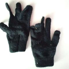 Guants, segons ha informat Twisto mitjançant iLost