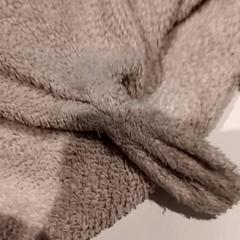 Peluche, a été signalé par De Efteling utilisant iLost