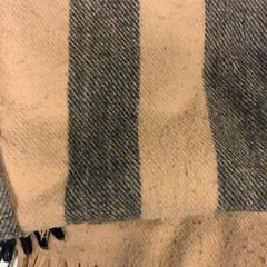 شال، كما تم الإبلاغ عنه بواسطة Artis عبر iLost