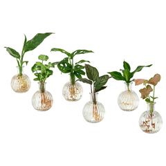 Produit IKEA BLADVERK plante, a été signalé par IKEA Toulouse utilisant iLost