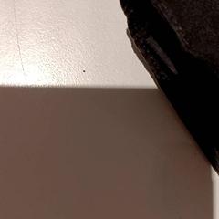 Giacca, come riportato da De Efteling utilizzando iLost