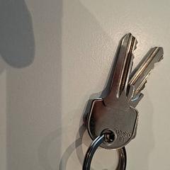 キーホルダー Met hanger がiLostで Gemeente Nijkerk によって報告されました