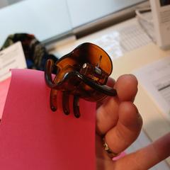 Gancho de cabelo Bruin, como reportado por Cursus en vergadercentrum Domstad utilizando o iLost