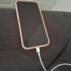 Iphone, come riportato a iLost