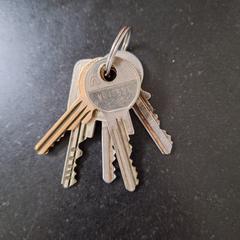 Sleutelbos an iLost gemeldet