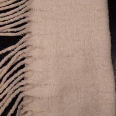 İLost kullanarak Rotterdam The Hague Airport tarafından bildirildiği gibi Şal