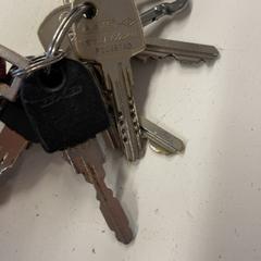 Giltzak, gisa salatu by GVB iLost erabiliz