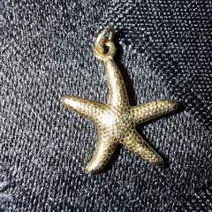 Armband bedeltje, zeester goud, som rapportert til iLost