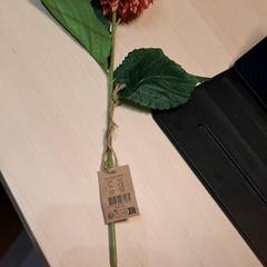 Kvetina, ako bolo nahlásené IKEA Paris - Italie Deux pomocou iLost