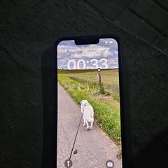 Iphone, as reported to iLost
