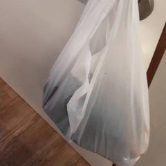 İLost kullanarak Qbuzz ZHN tarafından bildirildiği gibi Çanta