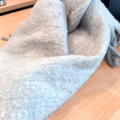 Scialle Grijs wol, come riportato da RRReis Veluwe Zuid - Ede utilizzando iLost