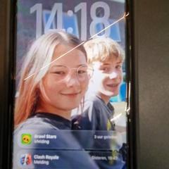 Chytrý telefon, jak nahlášeno Gemeente Renkum pomocí iLost
