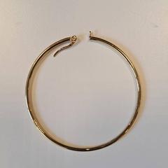 Earring, as reported by Breda University of Applied Sciences Mgr. Hopmansstraat using iLost