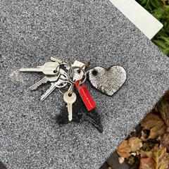 Sleutel bos met hartje, som rapporterats till iLost