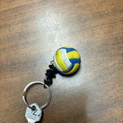 Sleuteltje, as reported by Centraal magazijn using iLost