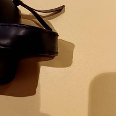 상자, iLost를 사용하여 De Efteling에 보고됨