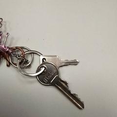 Chiave, come riportato da ilévia utilizzando iLost