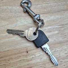 Portachiavi, come riportato da Gemeente Wageningen utilizzando iLost