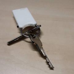 İLost kullanarak Arriva Oost-Brabant tarafından bildirildiği gibi Anahtarlar