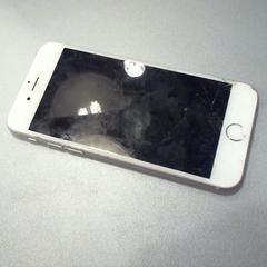 iPhone, as reported by Walibi Holland using iLost